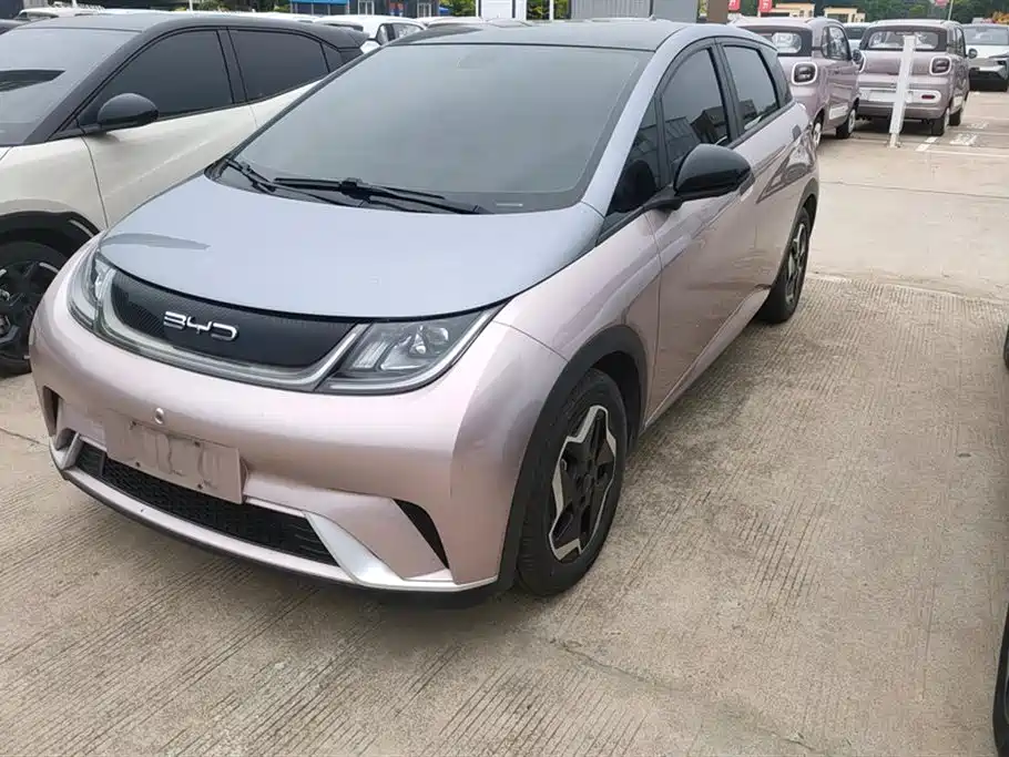 BYD Dolphin 2021 Model 405km Fashion Edition