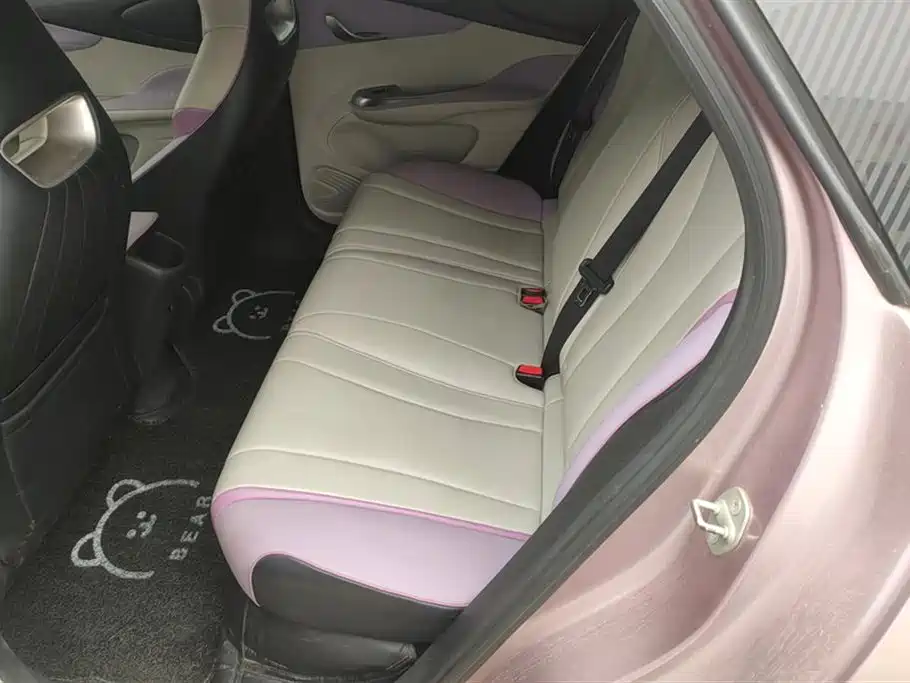 BYD Dolphin 2021 Model 405km Fashion Edition фото 11