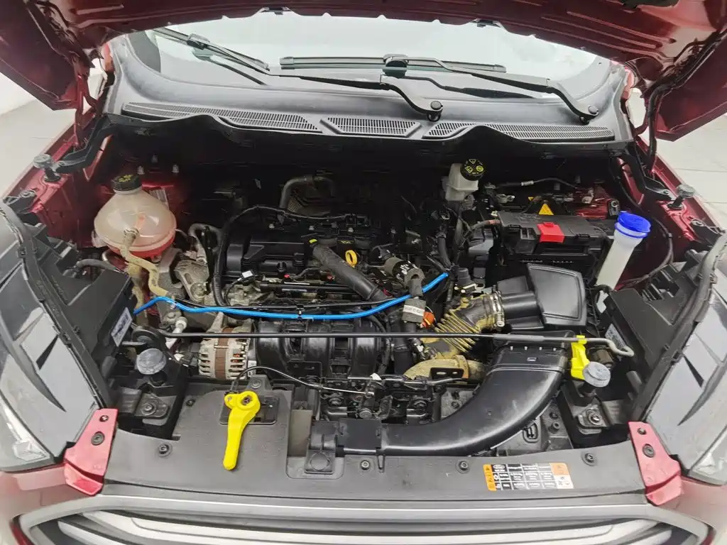 Ford EcoSport 2018 2018 1.5L Automatic Platinum Wing