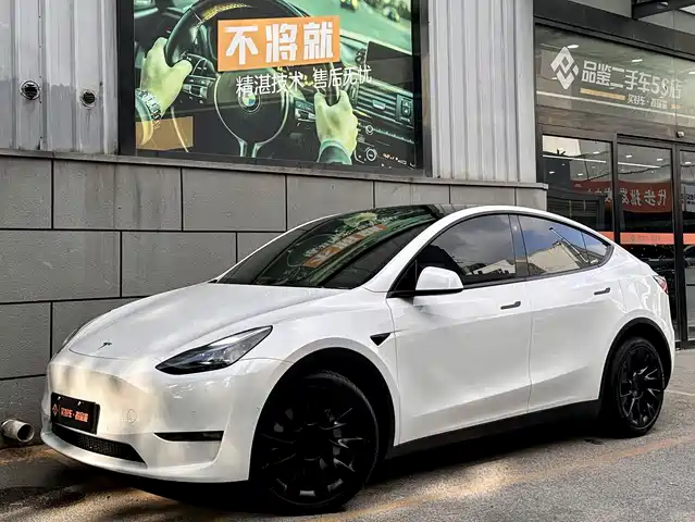Tesla Model Y 2021 Performance High-Performance AWD