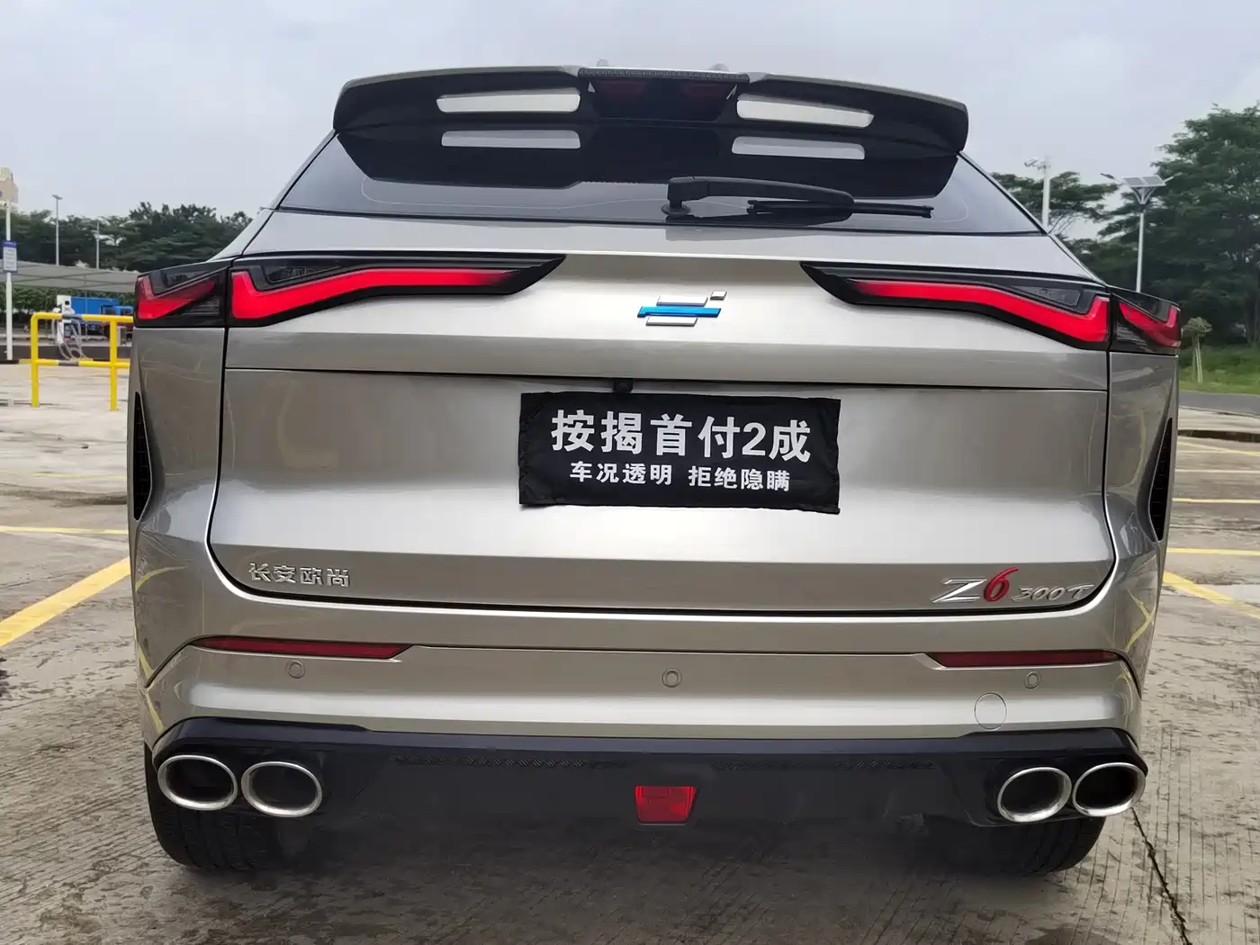 Changan Oshan Z6 2023 2022 Blue Whale 1.5T DCT Intelligent Leader