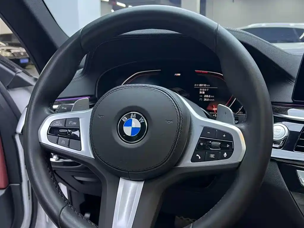 BMW 5 Series 2020 530Li Leading M Sport Package фото 14