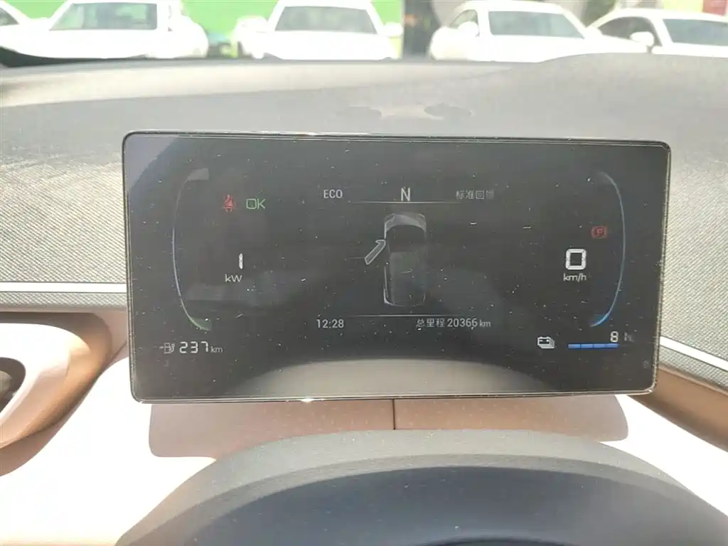 BYD Seagull 2023 Vitality Edition фото 12