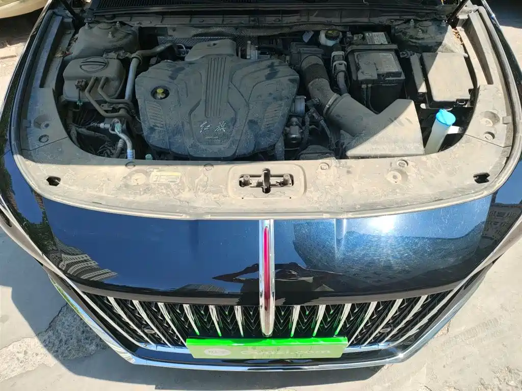 Hongqi H5 2024 2.0T Automatic Smart Connect Flag Enjoy Edition фото 11