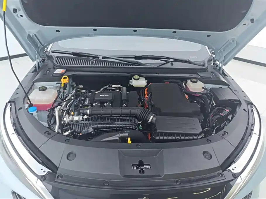 BYD Qin L 2025 2024 DM-i 80KM Superior