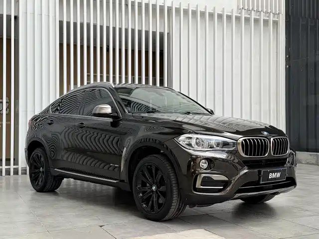BMW X6 2018 xDrive35i Leading Model — фото 3
