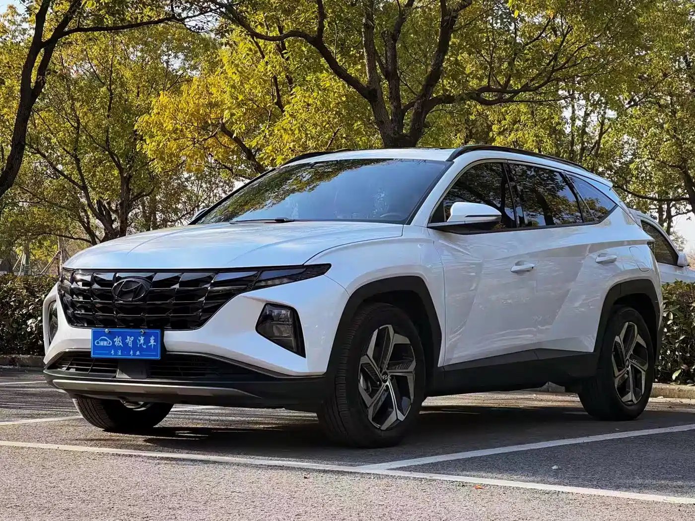 Hyundai Tucson 2023 Tucson L 1.5T Automatic 2WD DLX Luxury Edition