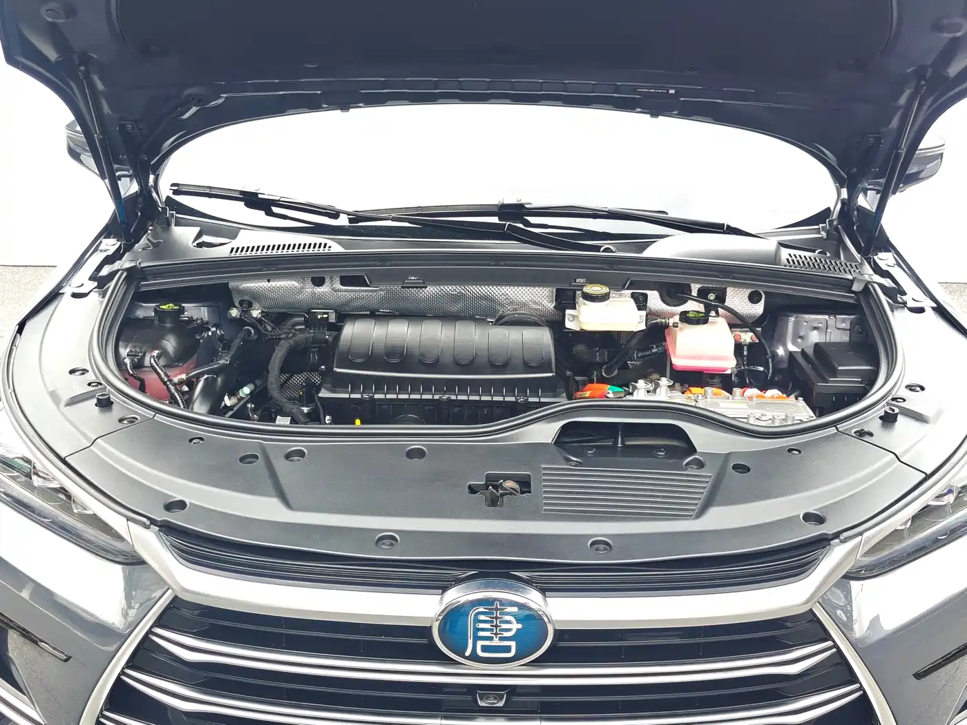 BYD TANGXIN ENERGY