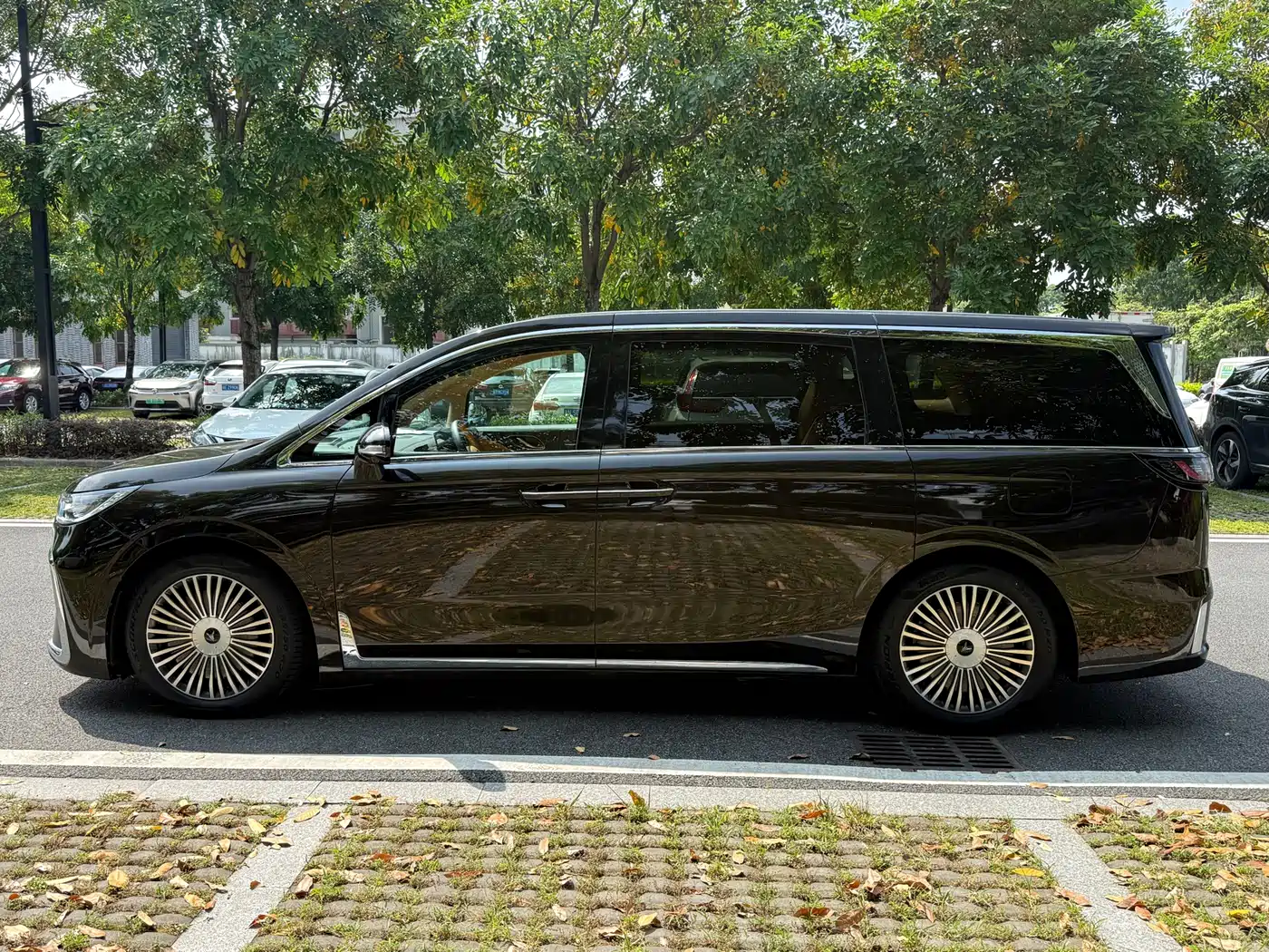 Voyah Auto Voyah Dreamer 2025 PHEV AWD Flagship Kunpeng Edition фото 2