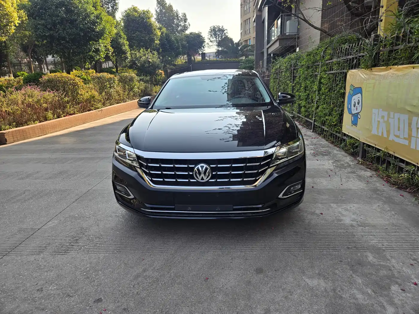 Volkswagen Passat 2020 330TSI Elite Edition China VI фото 2