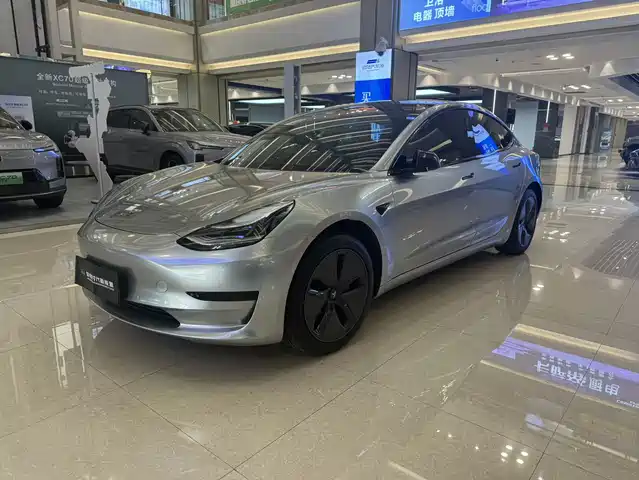 Tesla Model 3 2020 Facelift Standard Range RWD Upgrade