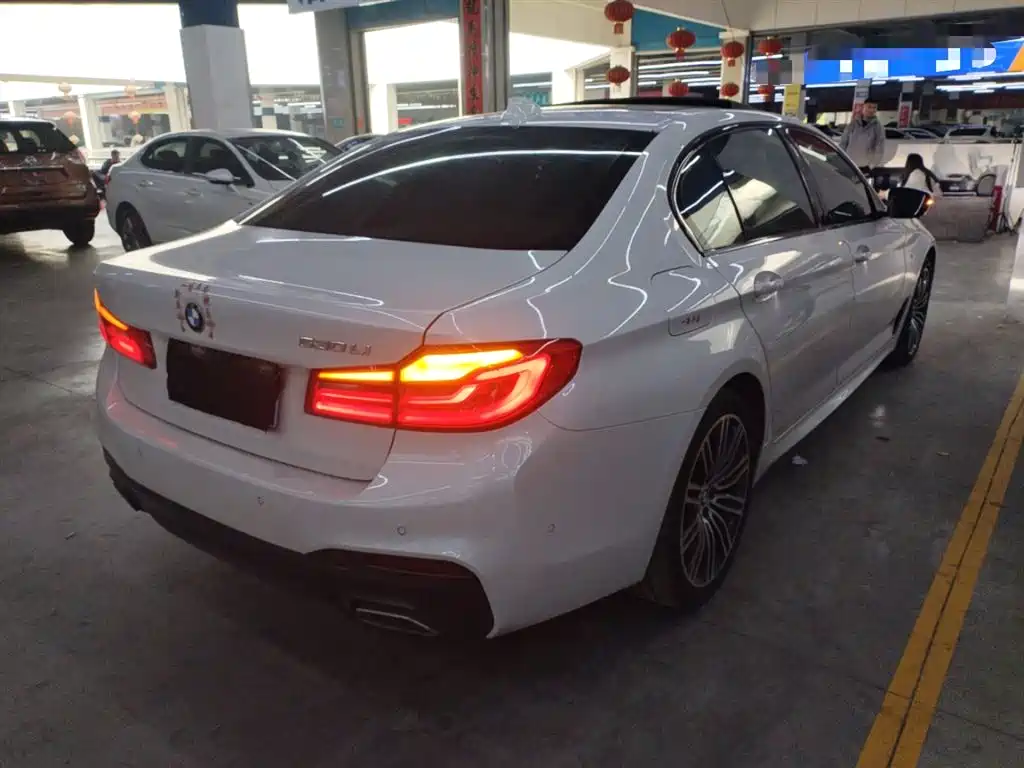 BMW 5 Series 2019 530Li Leading M Sport Package фото 7
