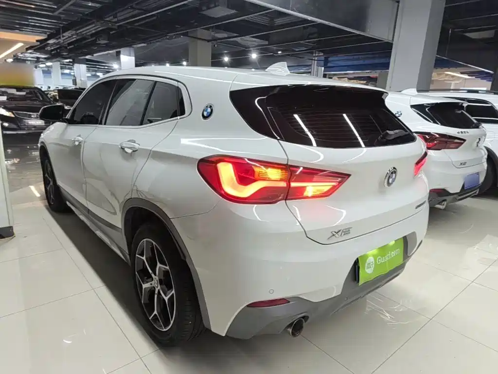 BMW X2 (Import) 2019 2019 sDrive20i M Off-Road Package China VI