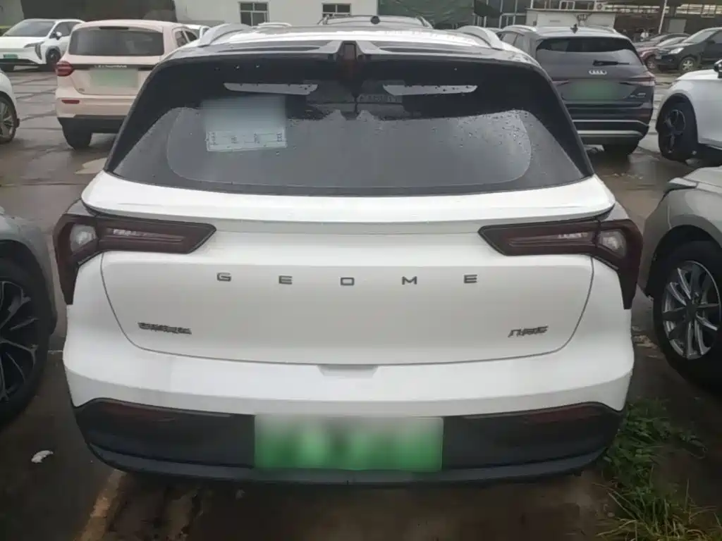 Geely Geometry E Firefly 2024 2024 Model 301km Light Flow