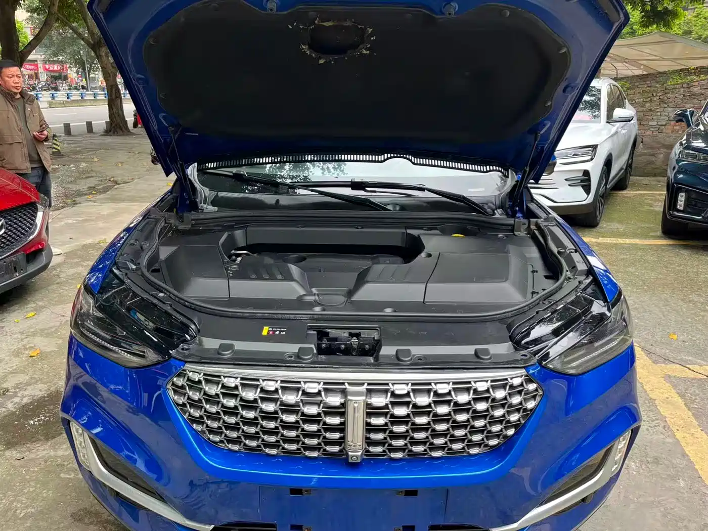 WEI PAI WEI BRAND VV6