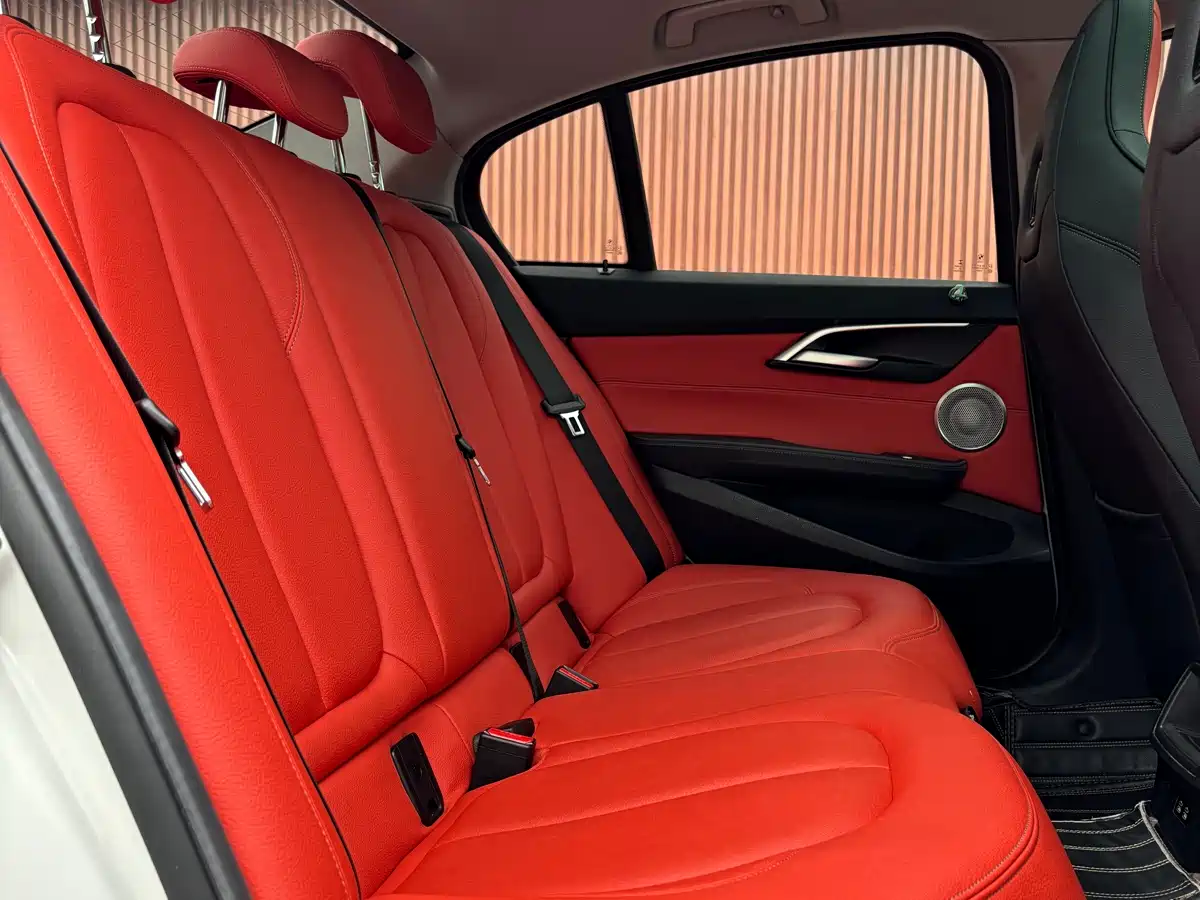 BMW 1 Series 2021 125i M Sport Black Night Edition фото 17