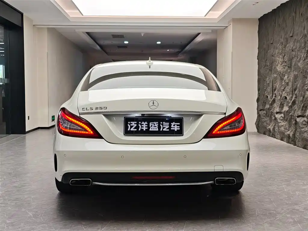 Mercedes-Benz CLS 2015 CLS 260 фото 17