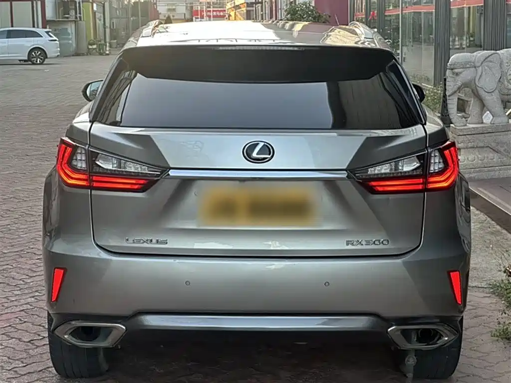 Lexus RX 2016 300 4WD Elegance Edition (China V) фото 7