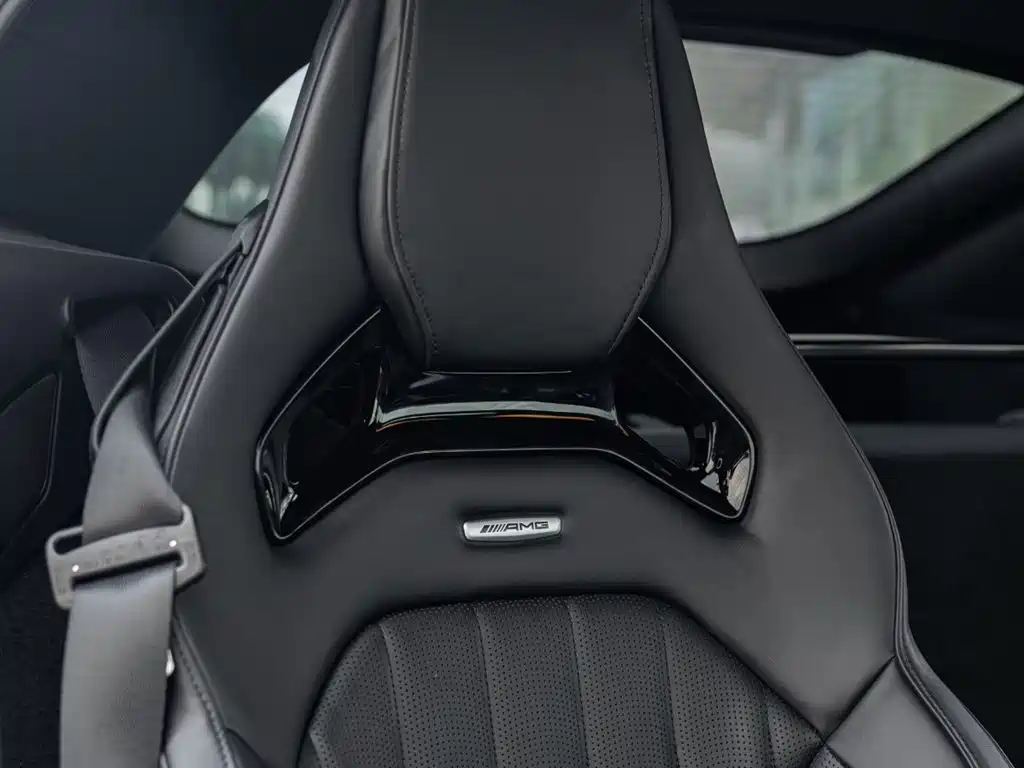 Mercedes-Benz AMG GT 2021 AMG GT Night Special Edition фото 18