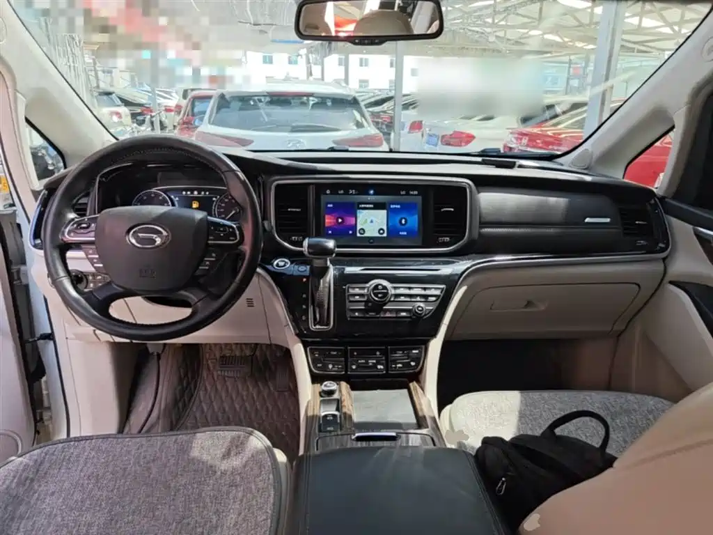 GAC Trumpchi Trumpchi M8 2020 Pilot 390T Prestige Edition фото 10