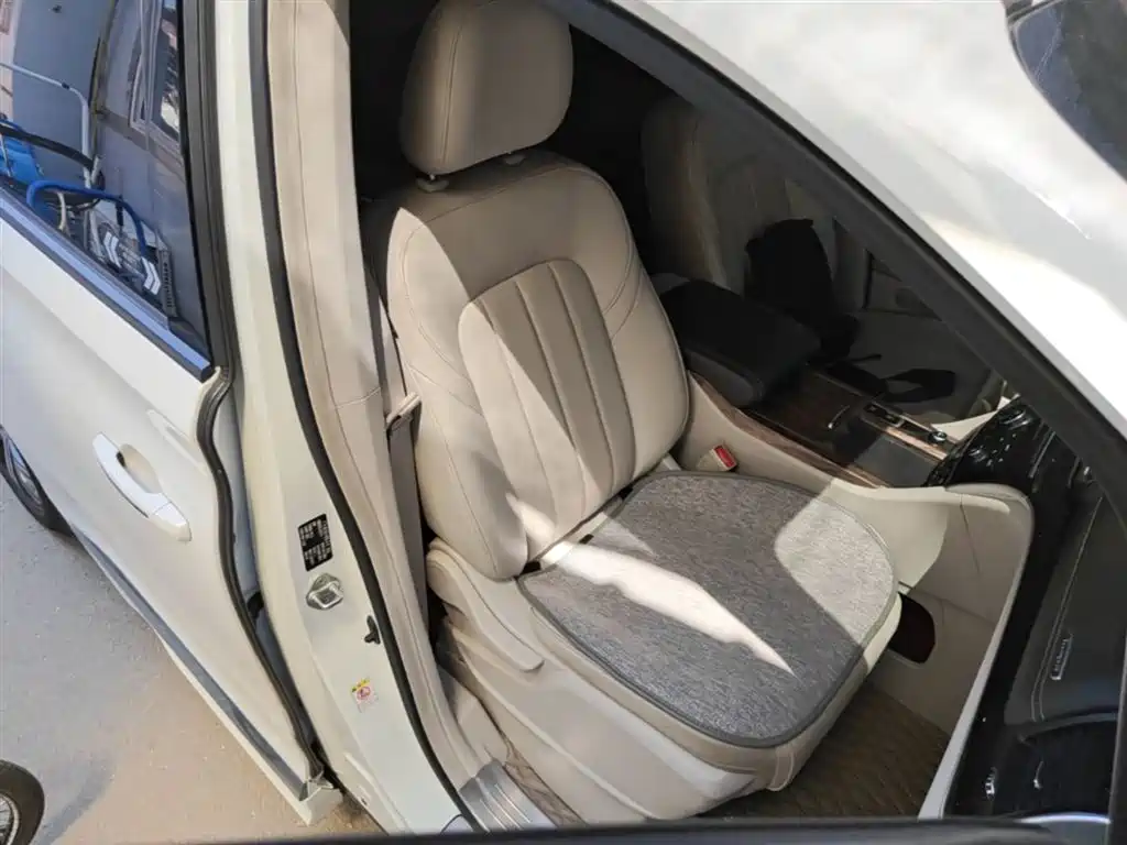 GAC Trumpchi Trumpchi M8 2020 Pilot 390T Prestige Edition фото 25