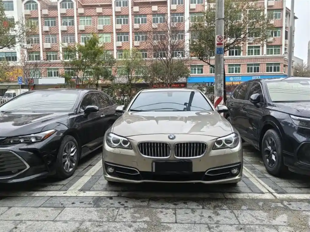 BMW 5 Series 2012 523Li Luxury фото 2