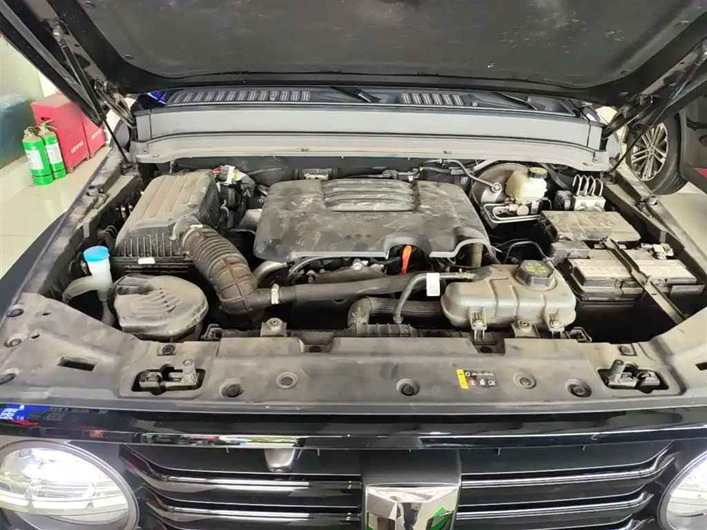 Tank 300 2024 Model 2.0T Challenger фото 20