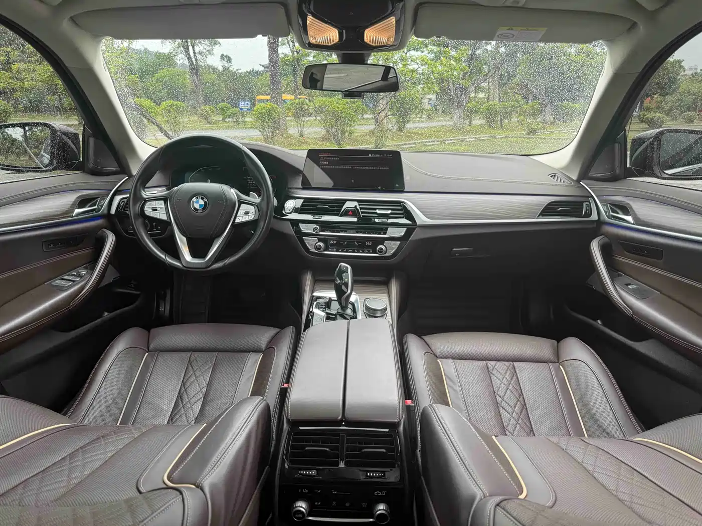 BMW 5 Series 2020 530Li Premium Luxury Package фото 9
