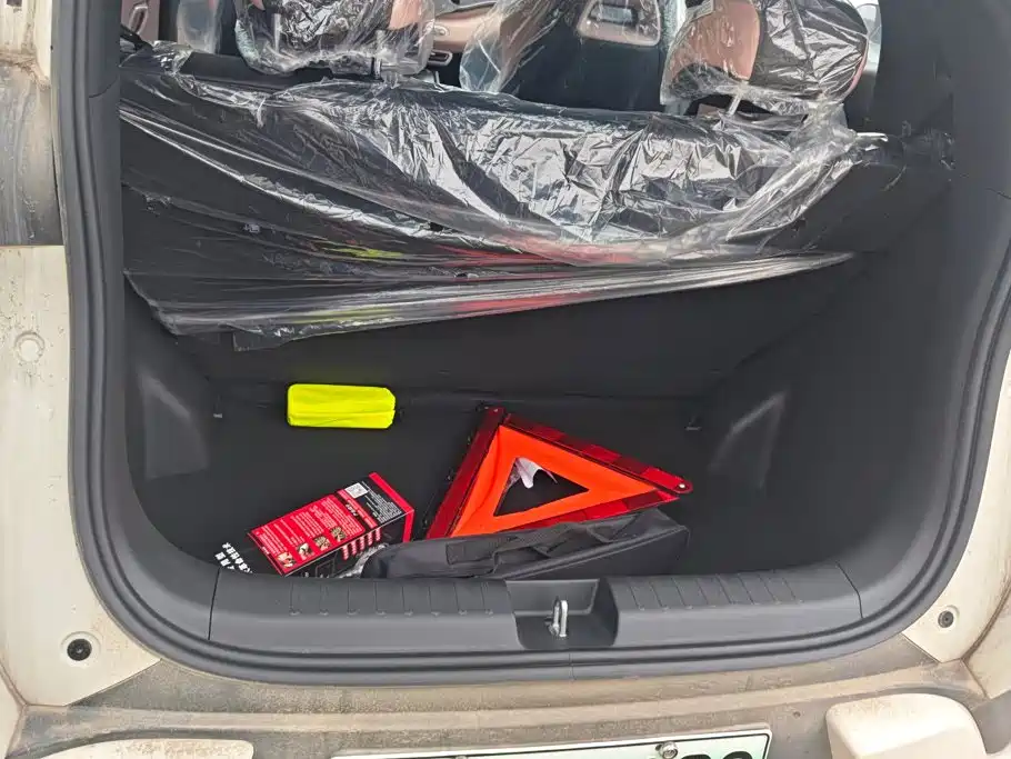 BYD Seagull 2026 2025 Smart Drive Edition 305km Vitality Version
