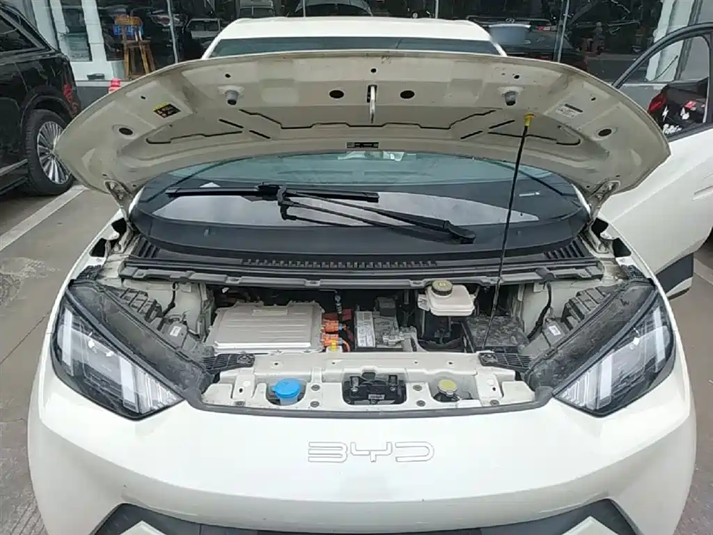 BYD Seagull 2024 Glory Edition 305km Vitality Edition фото 20