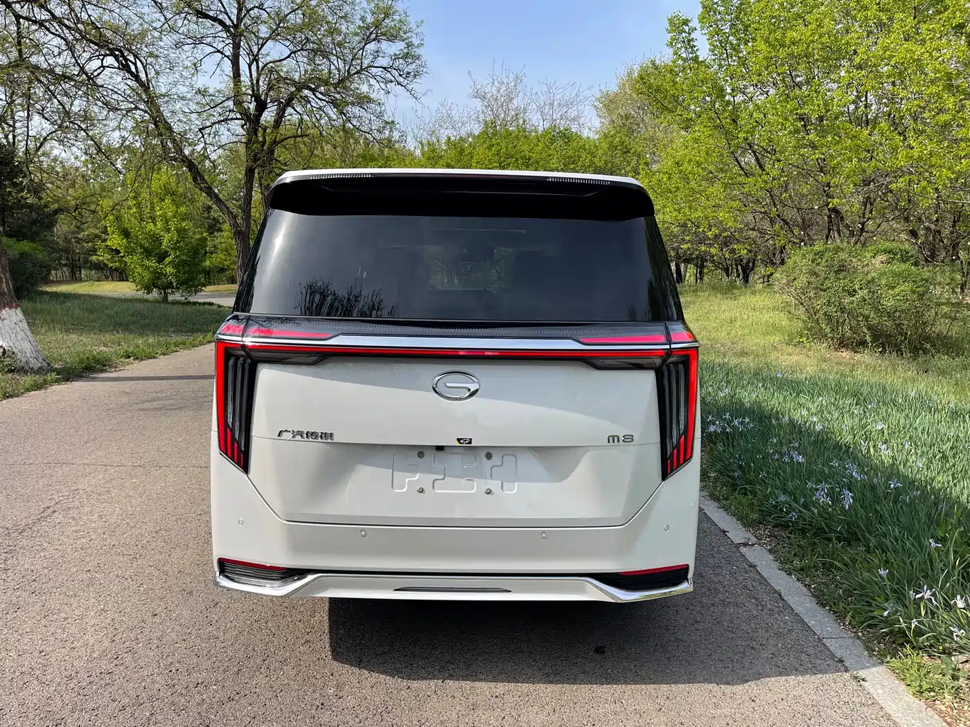 Photo 14 - GAC Trumpchi Trumpchi M8