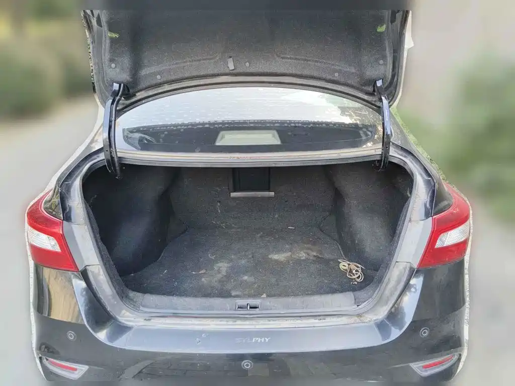 Фото 5 - Nissan Sylphy