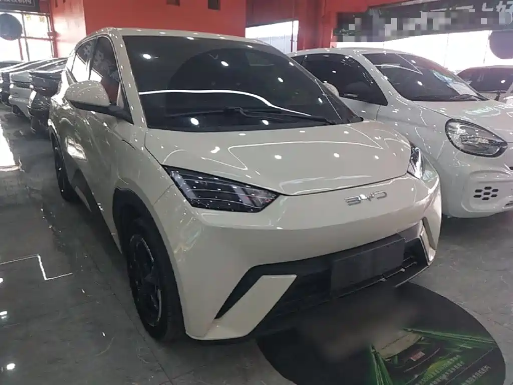 BYD Seagull 2023 Freedom Edition фото 4