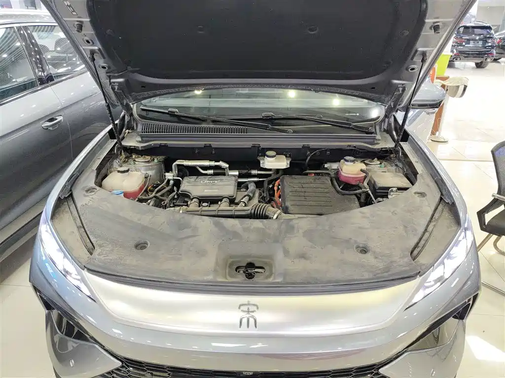 BYD Song Pro New Energy 2025 2nd Generation Smart Drive Edition DM-i 115KM Surpassing Type фото 16