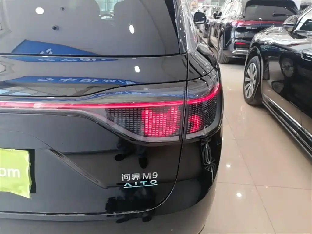 AITO Wenjie AITO M9 2025 Range Extender Max 52kWh 5-Seater фото 8