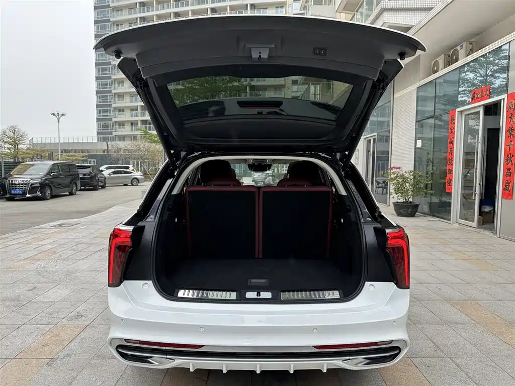 Hongqi E-HS9 2022 660km Qi Chang Edition (6-seater) фото 27