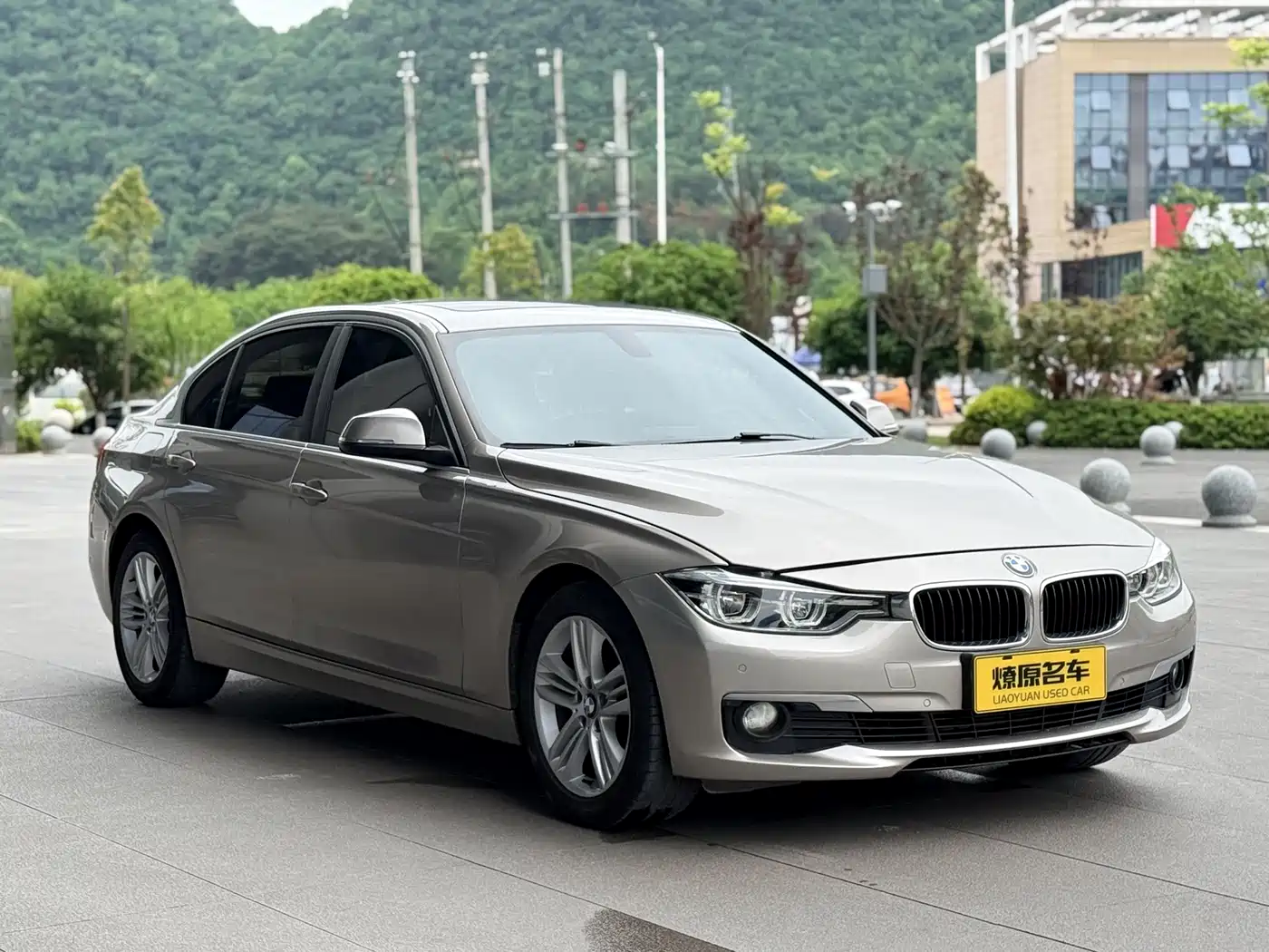 BMW 3 Series 2018 318Li фото 3