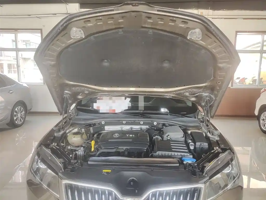 Škoda Superb 2016 TSI330 DSG Pioneer Edition фото 20