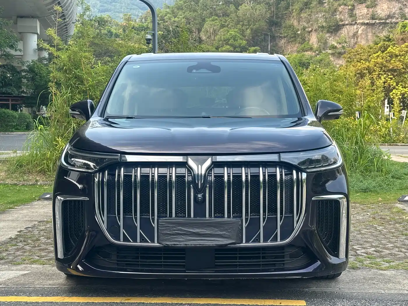 Voyah Auto Voyah Dreamer 2022 Low-carbon Dream+Smart Package фото 2