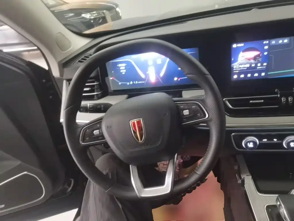 Hongqi HS5 2025 2025 2.0T 2WD Qixiang Pro