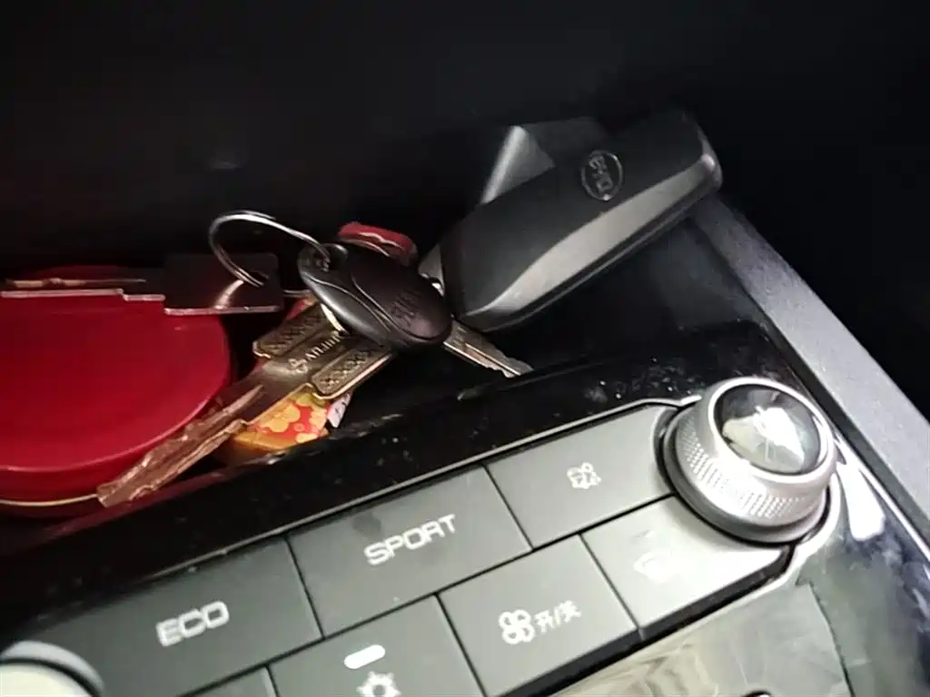 BYD e2 2021 Luxury Edition фото 9