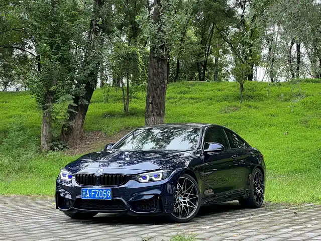  BMW BMW M4 2016 M4 Coupe Racing Limited Edition