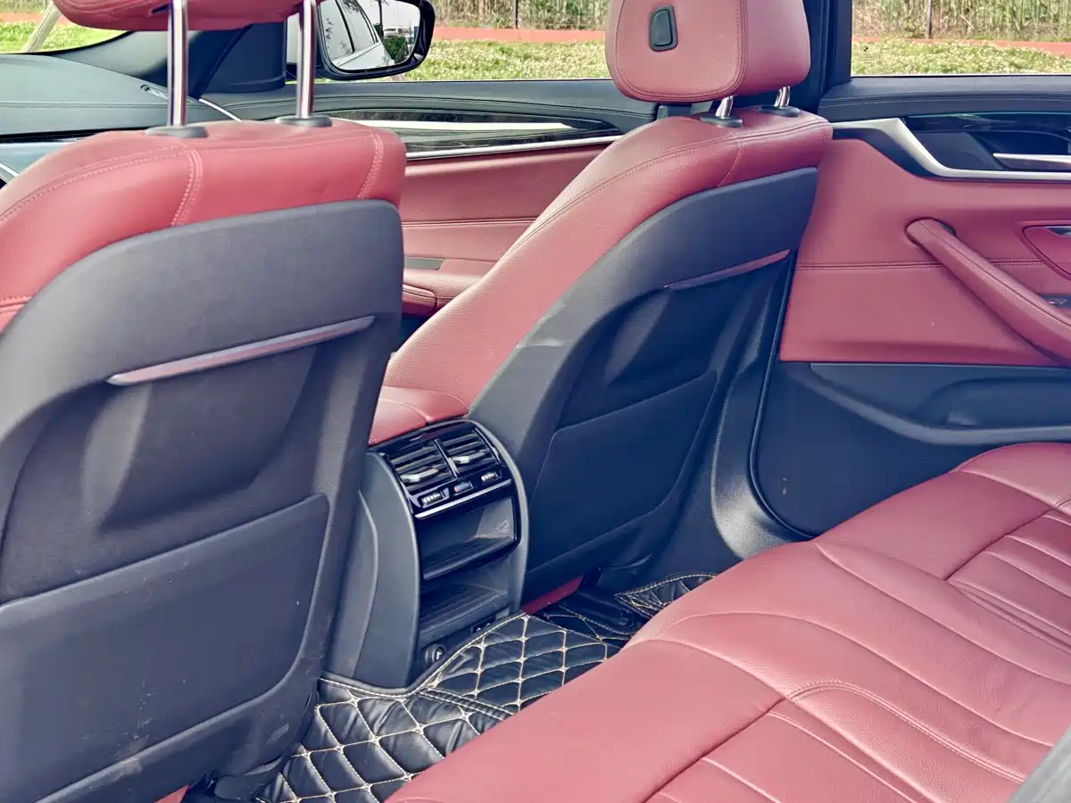 BMW 5 Series 2020 530Li Leading M Sport Package фото 13