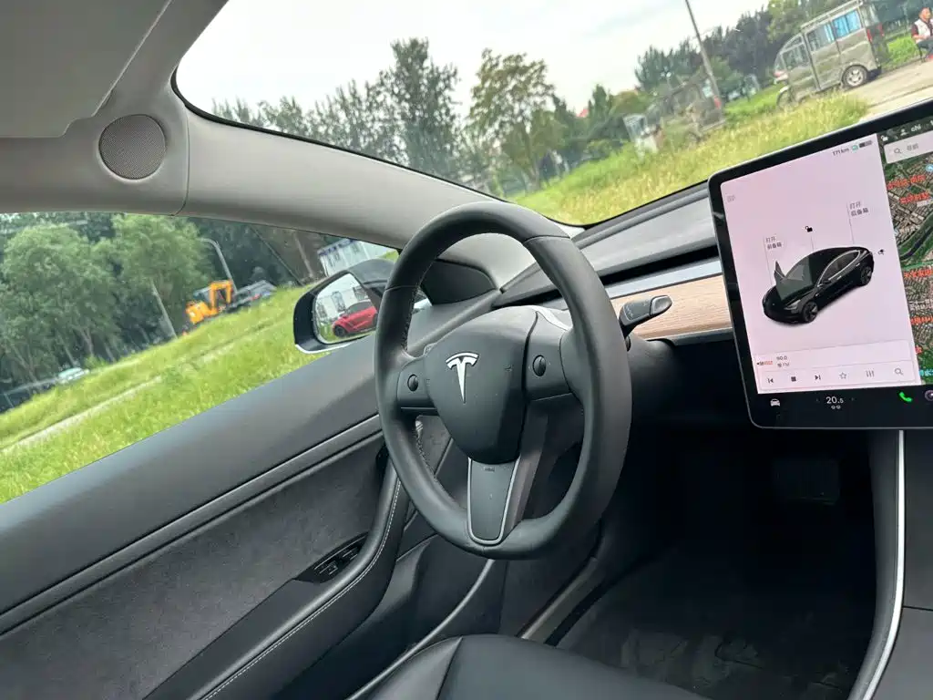 Tesla Model 3 2020 2020 Standard Range Rear-Wheel Drive Upgrade