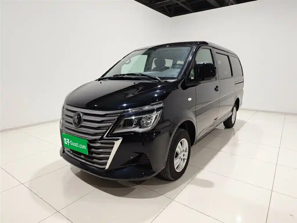 DONGFENG POPULAR LINGZHI