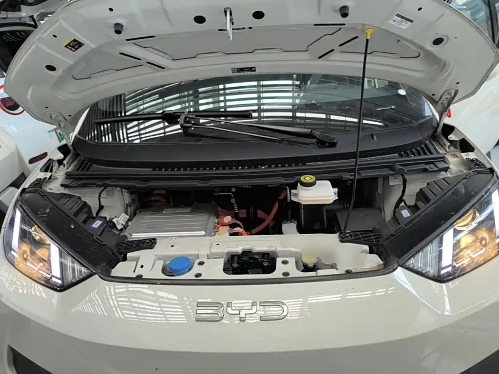 BYD Seagull 2026 2025 Smart Drive Edition 305km Vitality Version