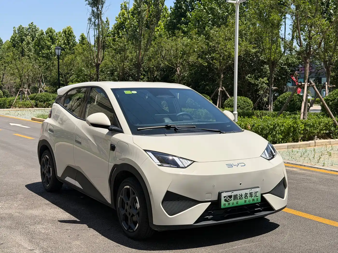 BYD Seagull 2025 Smart Drive Edition 305km Freedom Version фото 3