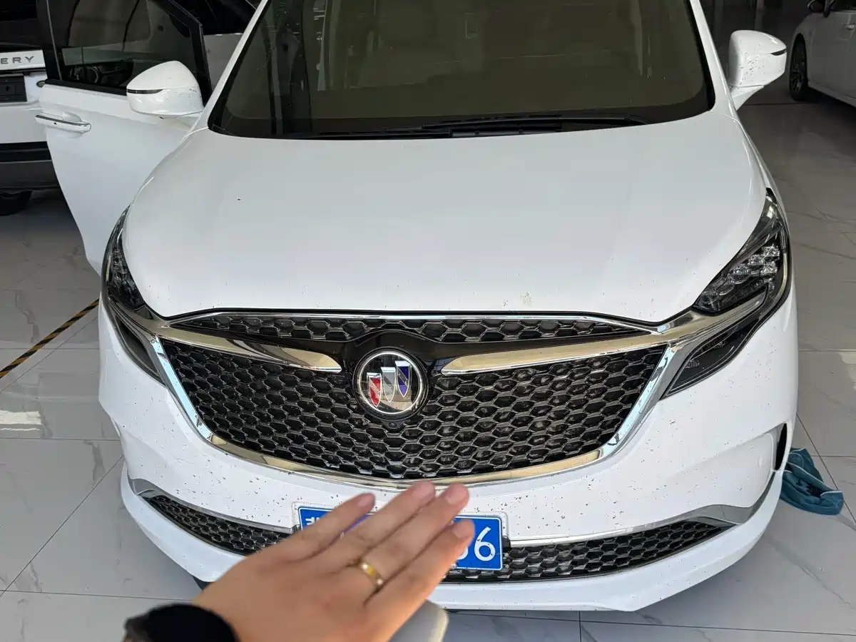 Buick GL8 2022 ES Landmark 653T Luxury фото 2