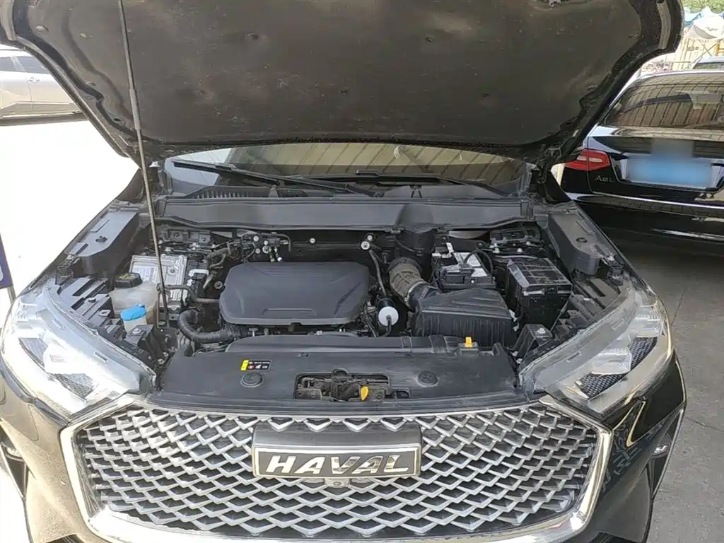 Haval H6 2022 3rd Gen 1.5T Auto 2WD Pro фото 20