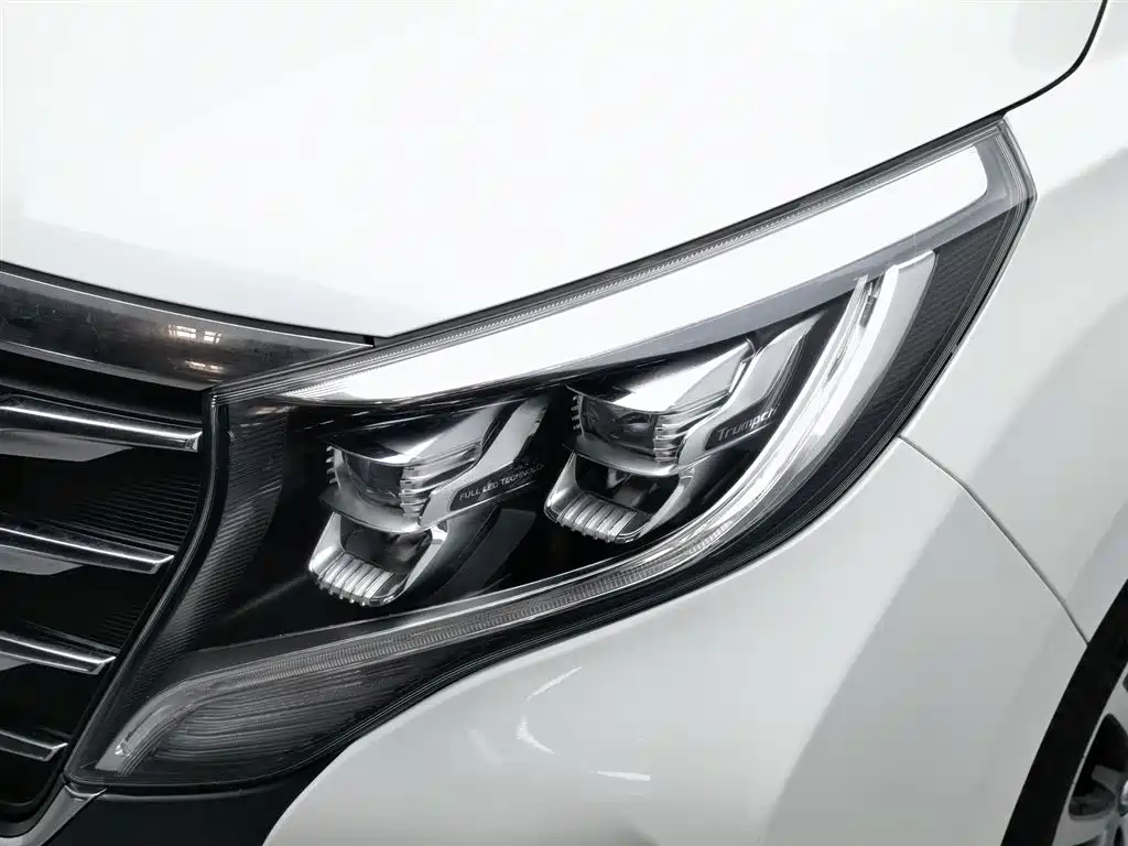 GAC Trumpchi Trumpchi M8 2020 Pilot 390T Ultimate Edition фото 7